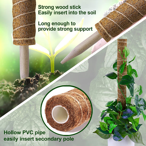 Jute wrap on Fabulas moss pole adds jungle decor and grip
