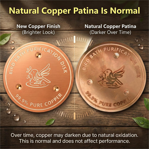 Factee Copper Disk three-point design provides stable placement and free flow.