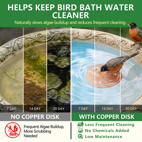 Factee Bird Bath Copper Disk top view highlights flat design for easy placement.