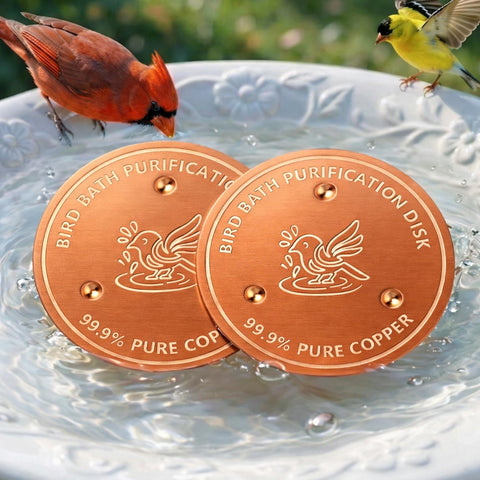 Factee copper disk for bird baths, full view, 0.6mm thickness, potential cleaner water