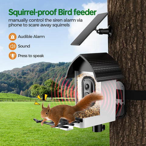 Faddial AI identification highlights bird species visiting the feeder