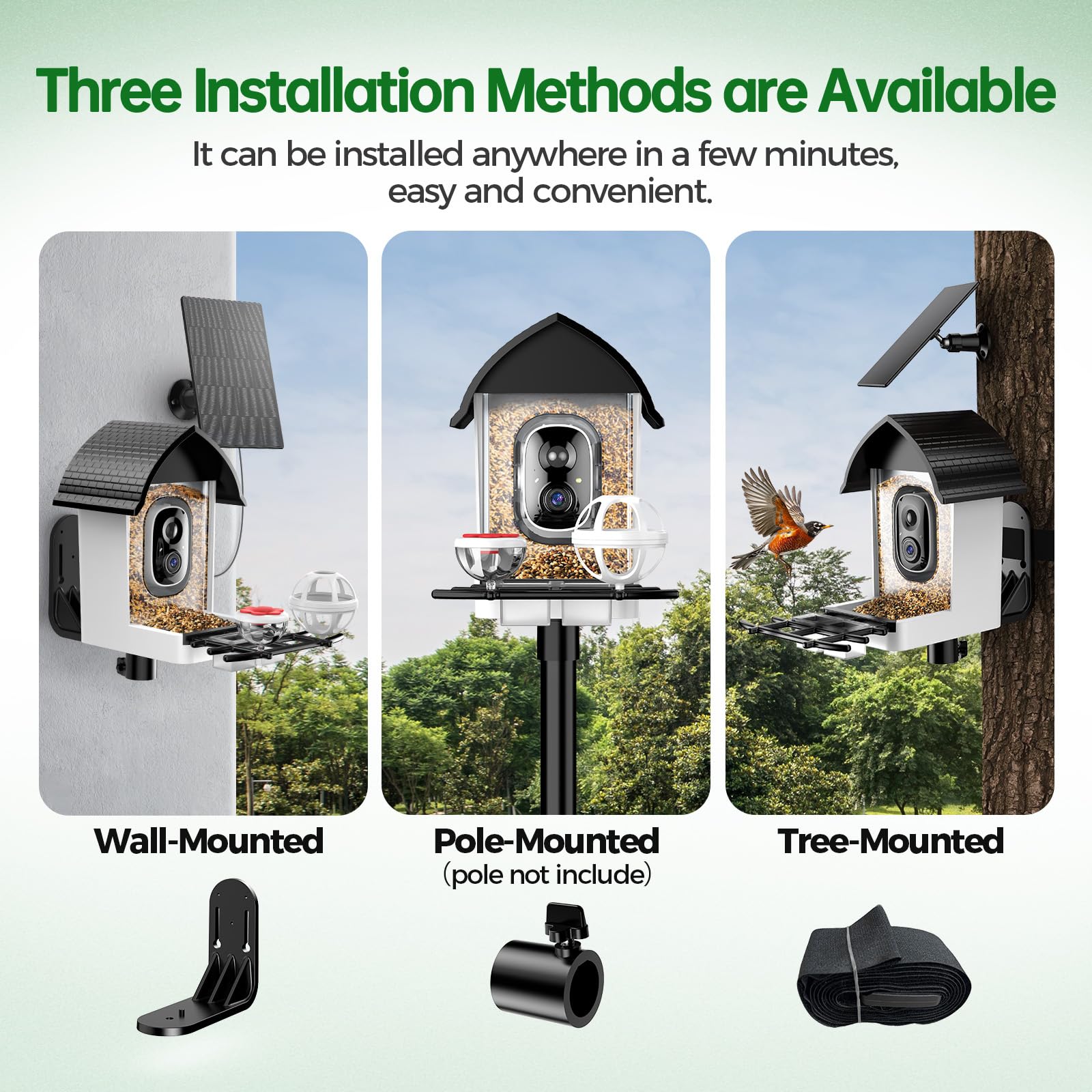 Faddial family-friendly bird watching feed shared with relatives