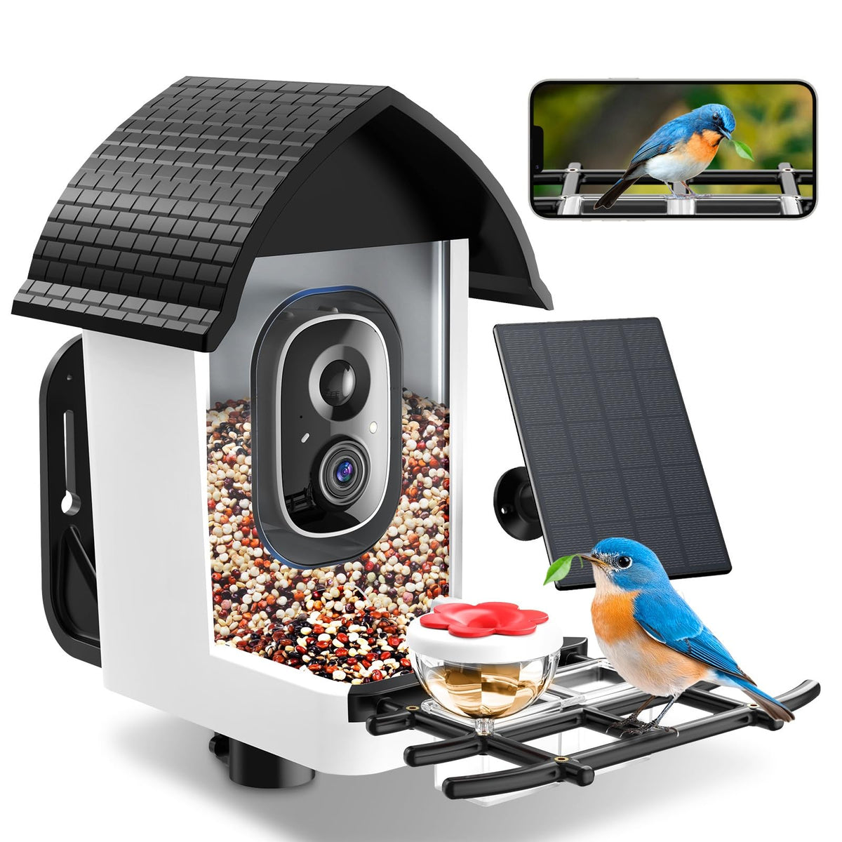 Faddial smart bird feeder camera captures 2K footage for backyard observation