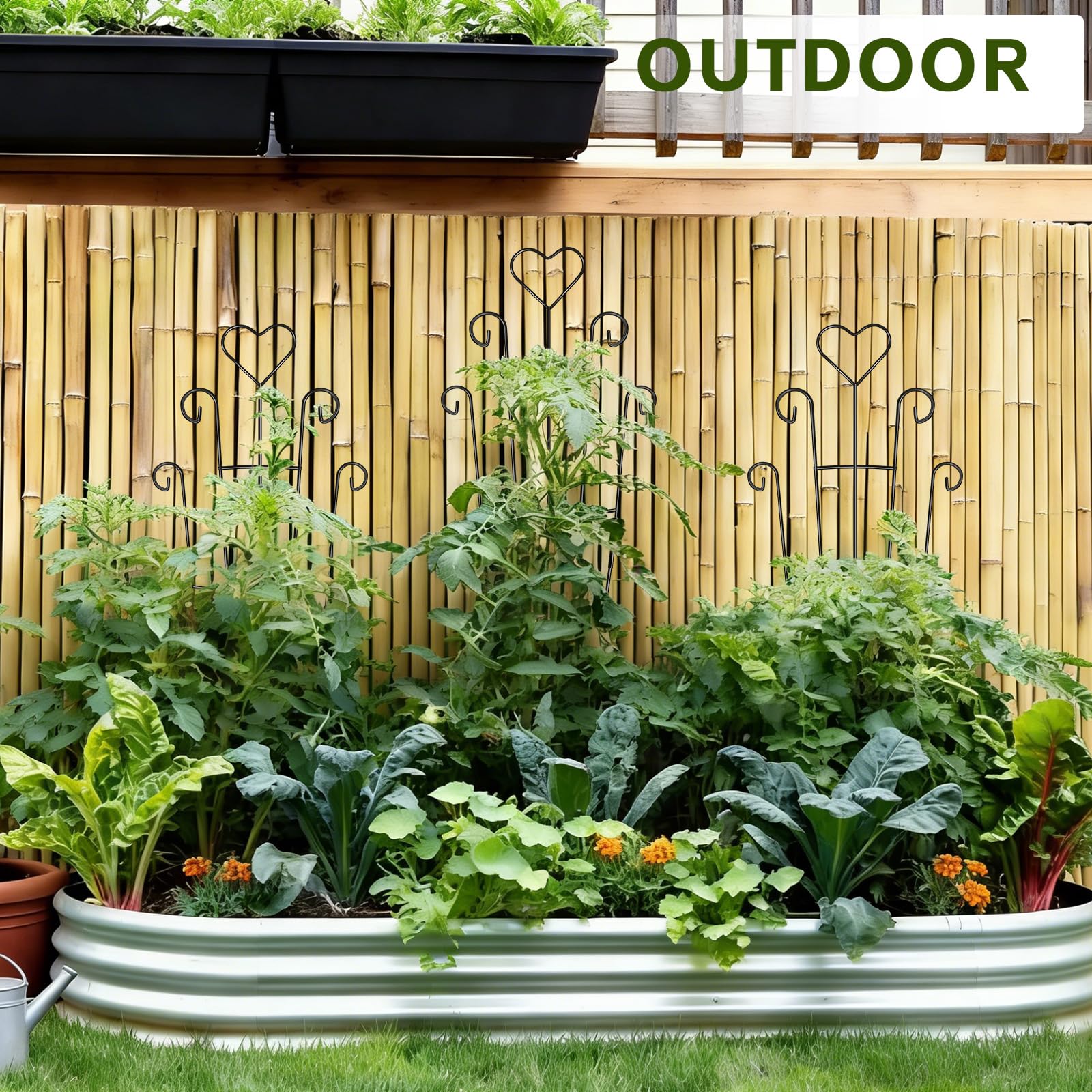FAFTFTDY outdoor-ready trellis providing stable plant support