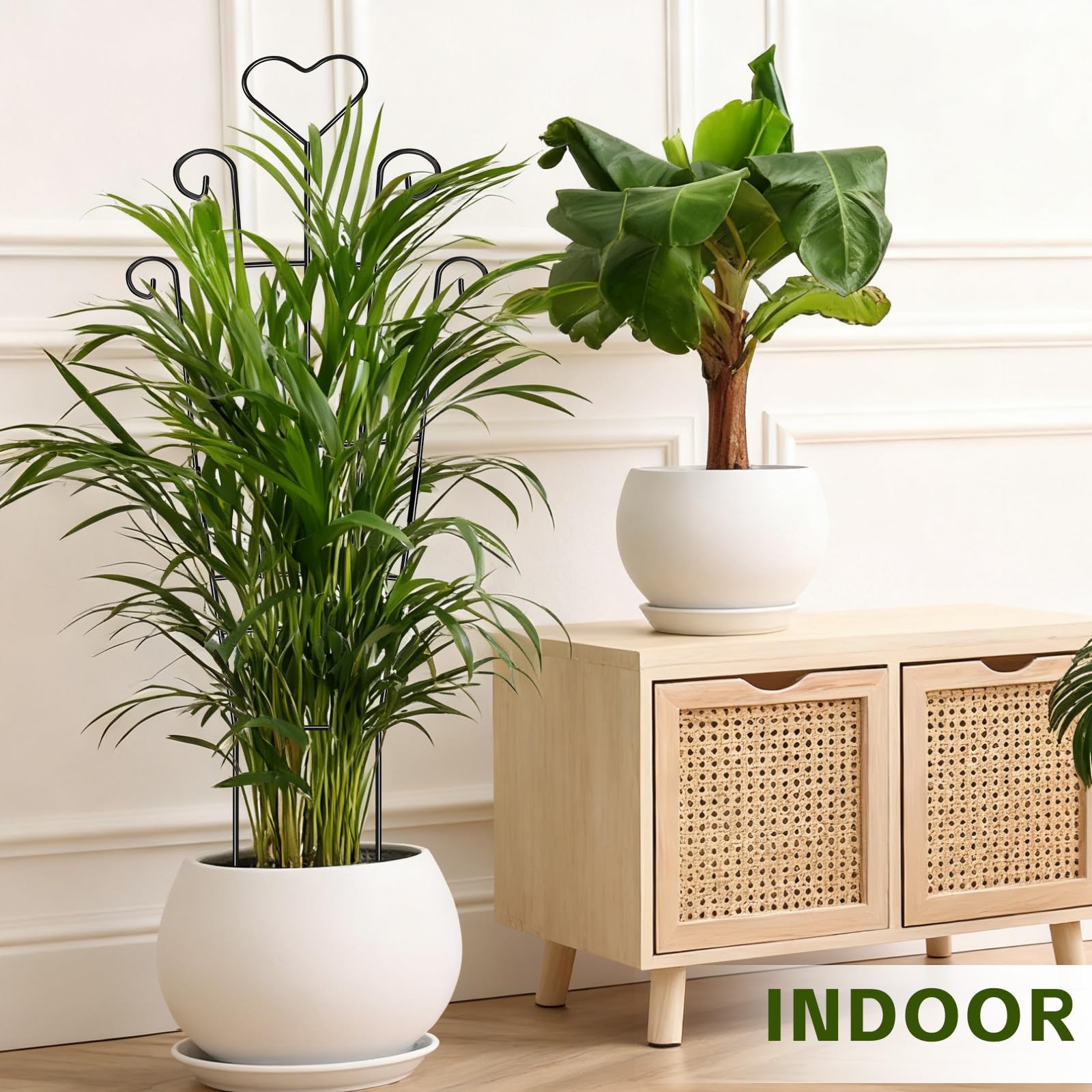 FAFTFTDY included plant ties for secure vine growth