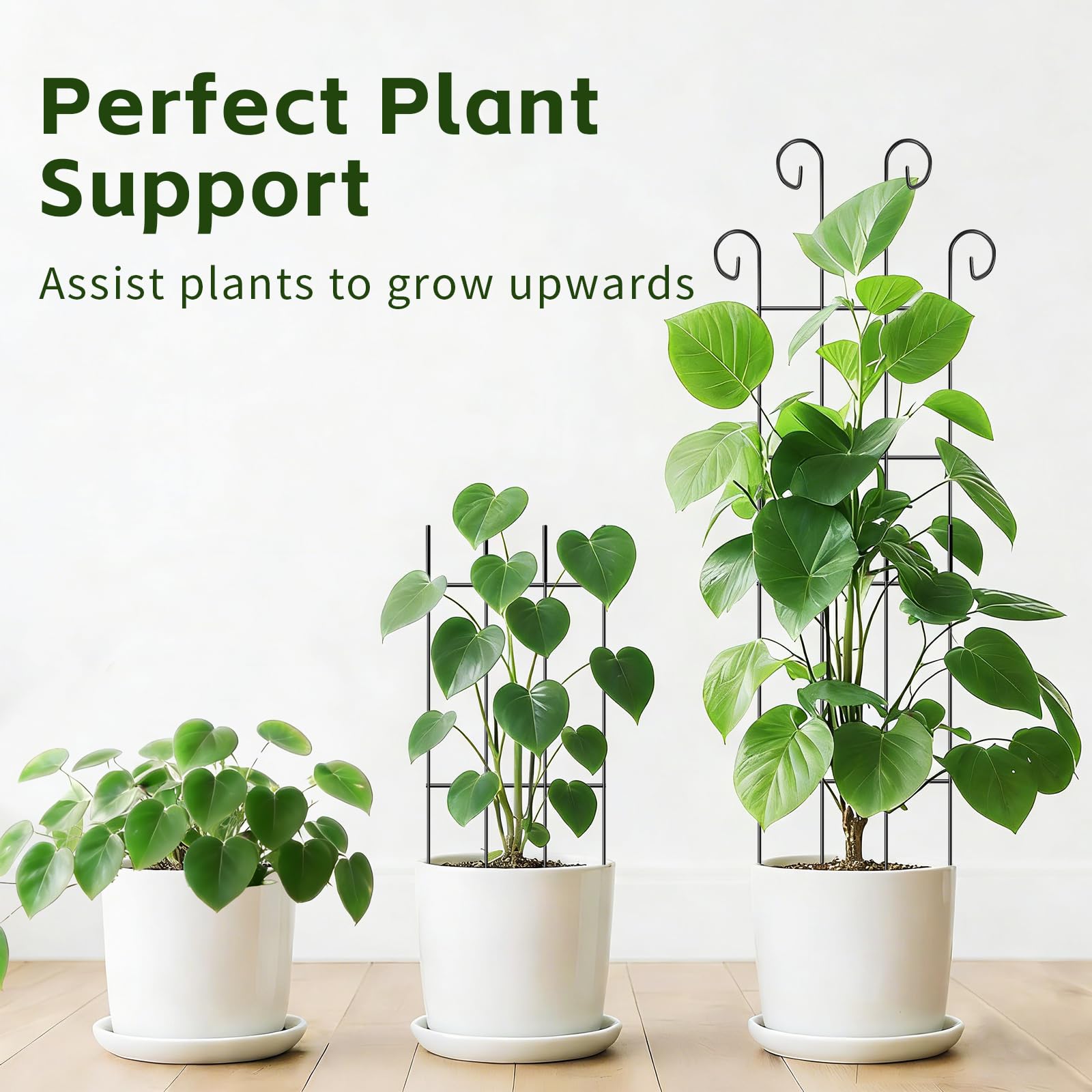 FAFTFTDY plant ties roll keeps vines secure for tidy growth.