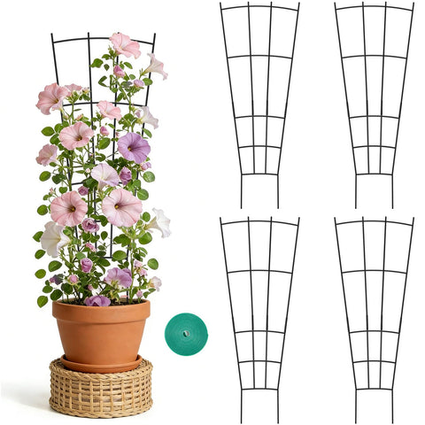 FAFTFTDY fan shape trellis supports ivy and pothos for vertical growth