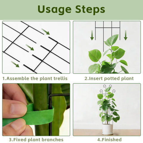 FAFTFTDY sturdy support for monstera and ivy, guiding upward growth.