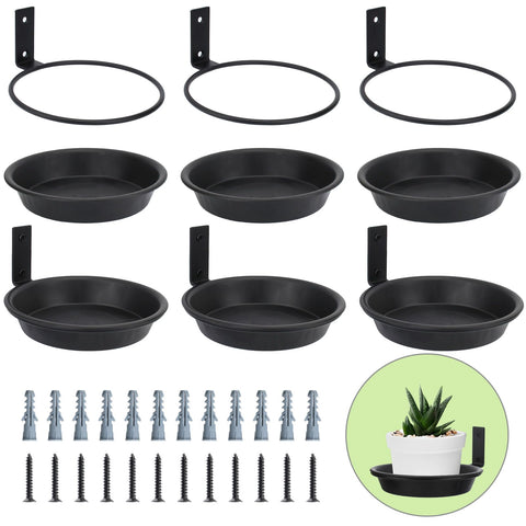 FAHAWEL 6-inch wall-mount plant holder displaying a compact plant on indoor wall