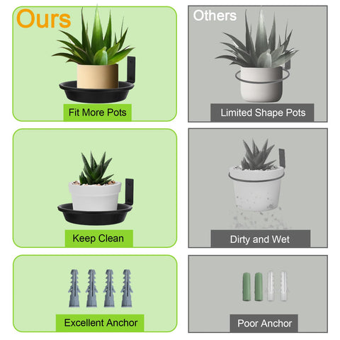 FAHAWEL indoor wall decor plant display on a living room wall