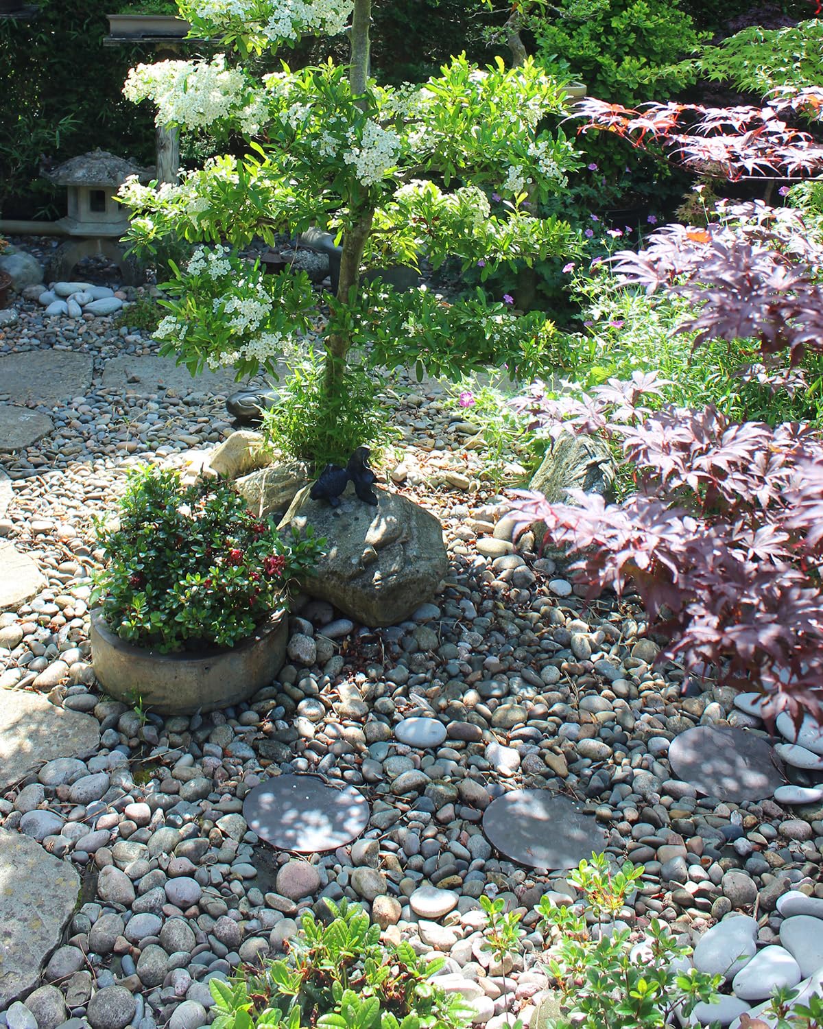 Fairy garden with Fahaxiki stones adding soft color depth.