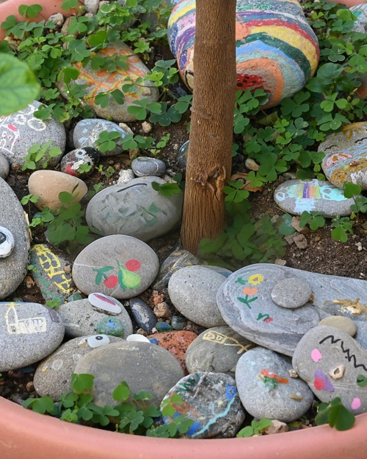 Fahaxiki rocks ideal for crafting and painting projects.