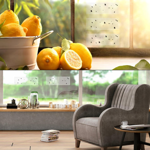 Faicuk eco-friendly solution, pesticide-free and family-friendly.