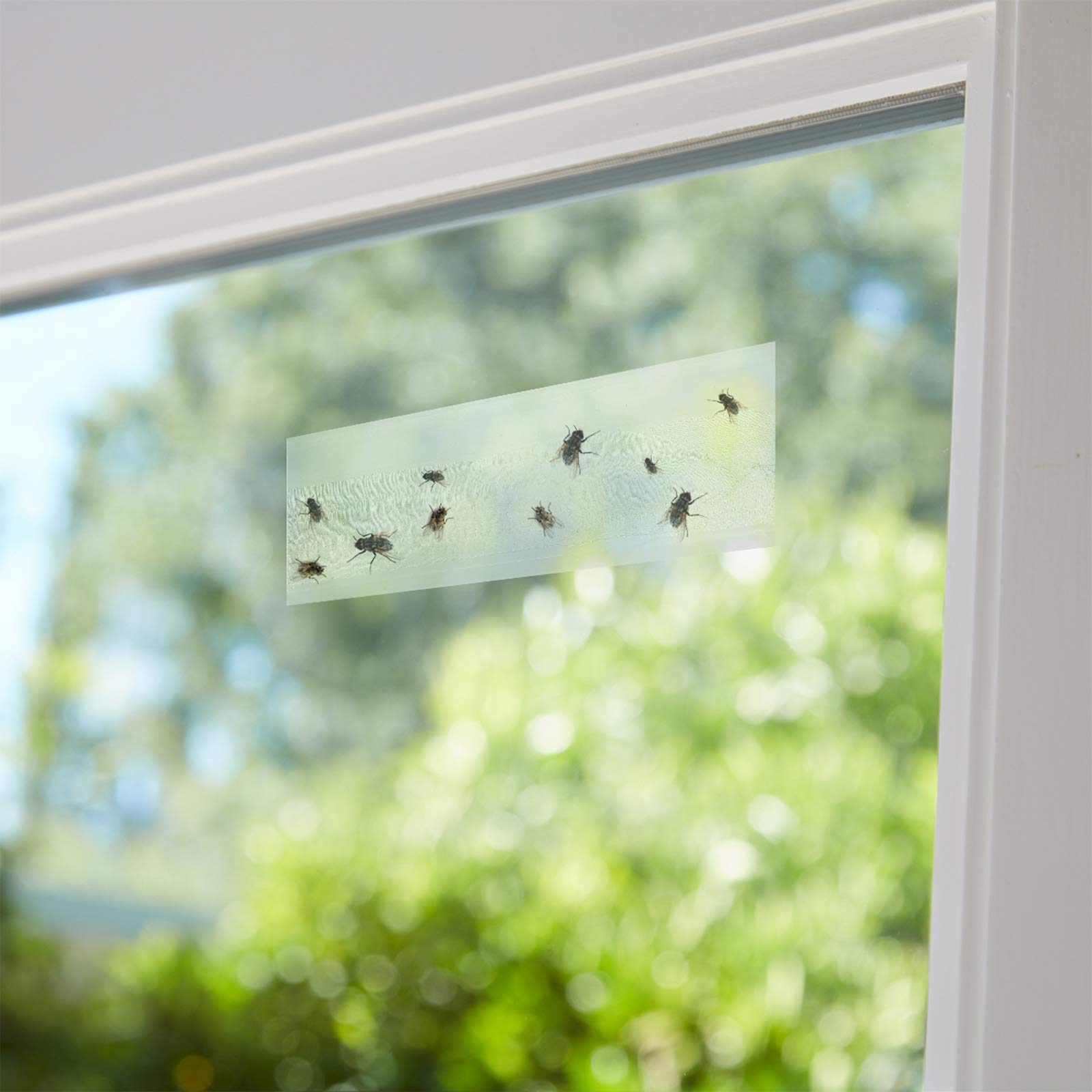 Faicuk invisible protection blends with glass for discreet pest control.