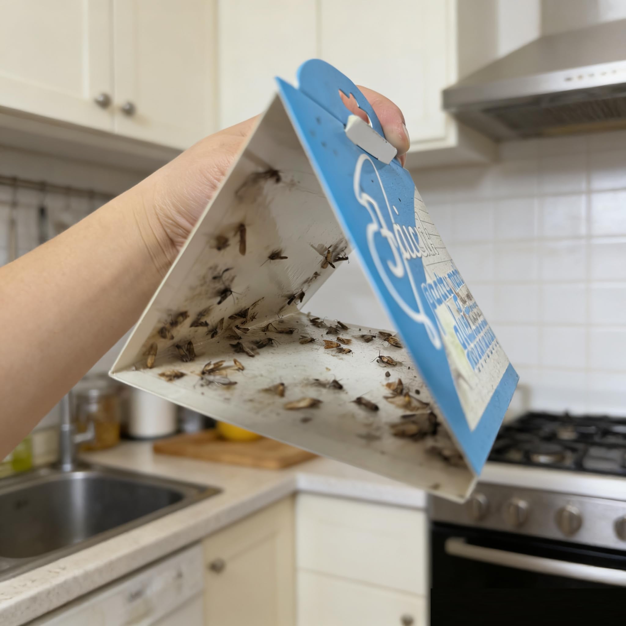 Faicuk Pantry Moth Traps compact traps for multiple storage spots.
