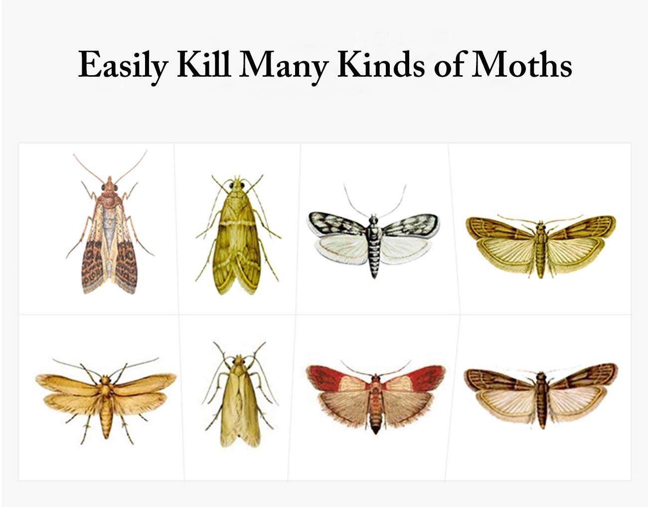 Faicuk Pantry Moth Traps non-toxic materials for safe home use.