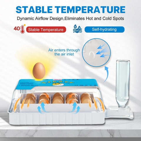 Failenfeivp incubator-automatic-turning-mechanism demonstrates hands-free turning