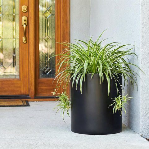 FaithLand 12-inch fiberstone planter mid-century stand pairing enhances cohesive decor.