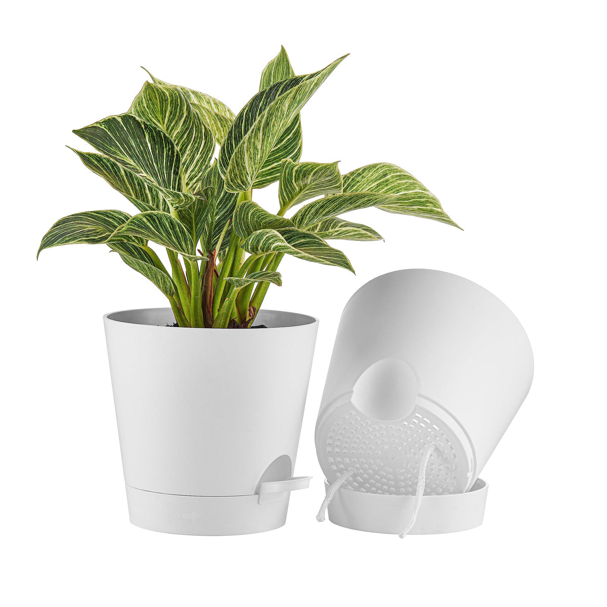FaithLand 8in self-watering planter tray keeps plants hydrated when away.