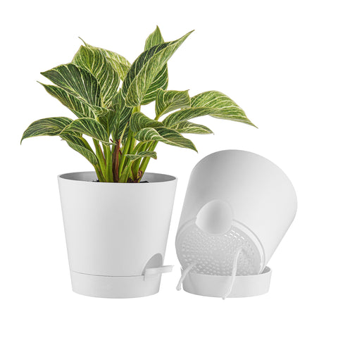FaithLand 8in self-watering planter tray keeps plants hydrated when away.