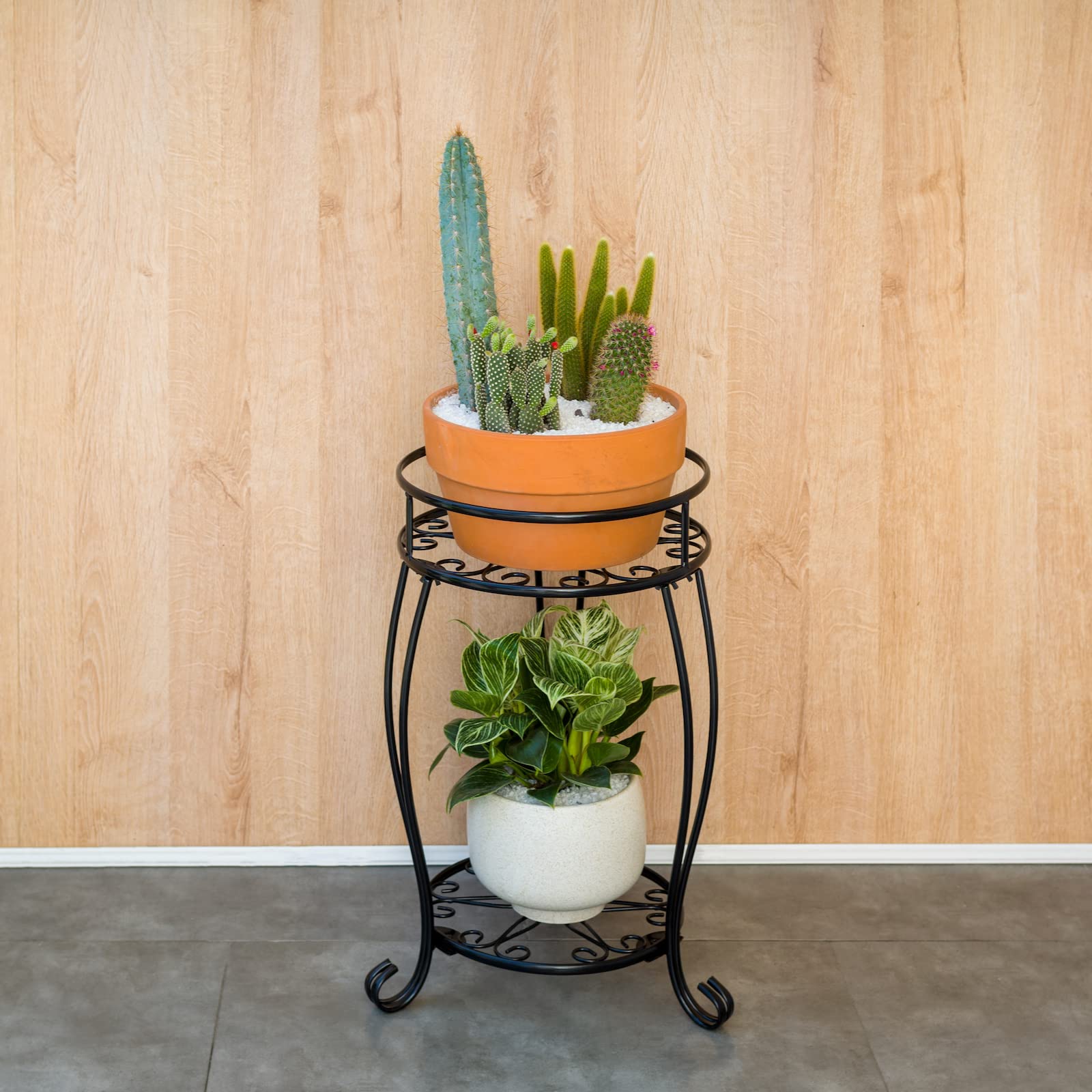 FaithLand corner display stand highlights plants in compact living spaces.