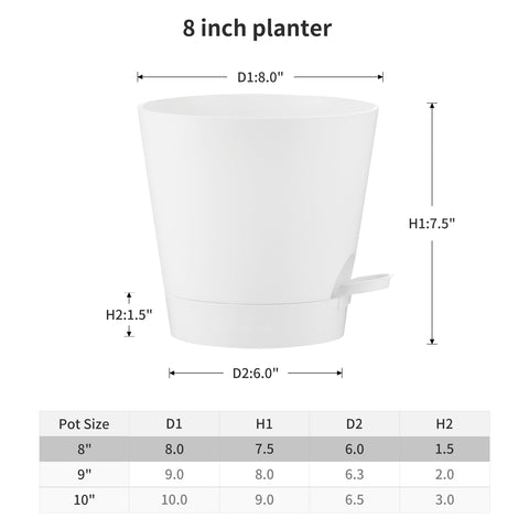 FaithLand deep reservoir water tray provides extended moisture for indoor plants.