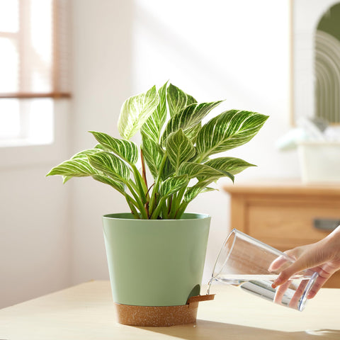 FaithLand planter is suitable indoors or outdoors thanks to weather and UV resistance