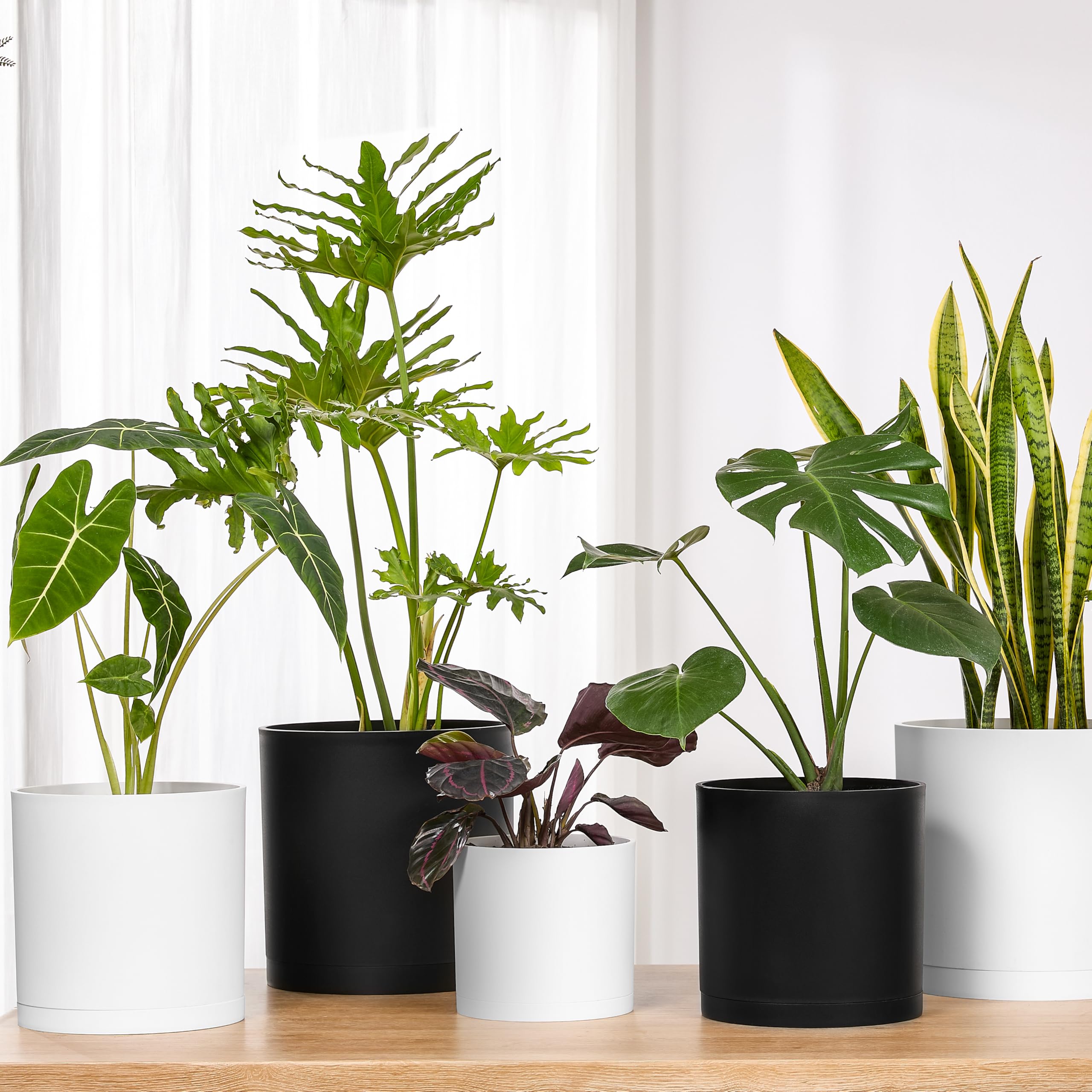 FaithLand 10-Inch cylinder planter creates a striking plant display anywhere.