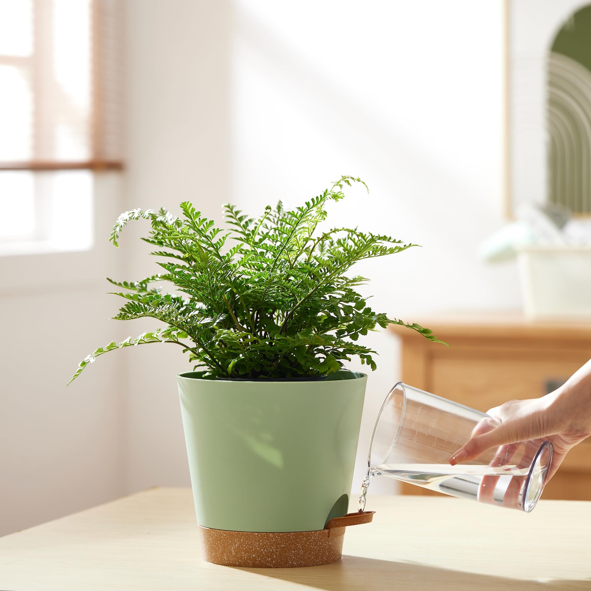 FaithLand planter is lightweight yet durable polypropylene for easy transport and lasting use