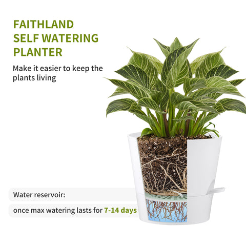 FaithLand planter with multiple drainage holes promotes air circulation and prevents root rot.