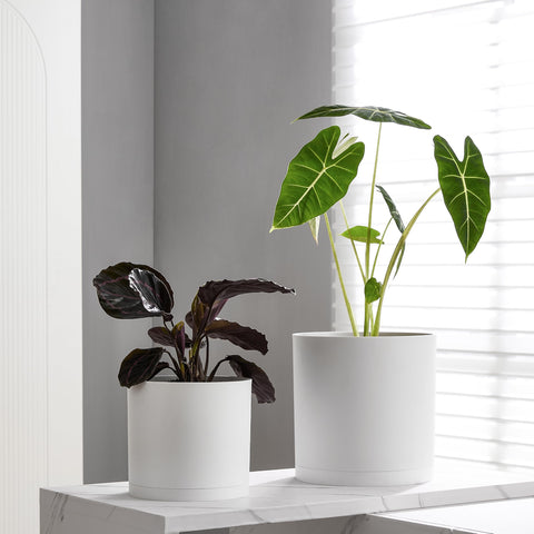 FaithLand detachable seamless saucer keeps surfaces clean and allows airflow.
