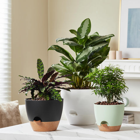 FaithLand lightweight durable polypropylene pots resist fading and cracking