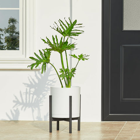 FaithLand planter on a bright window sill for indoor greenery.