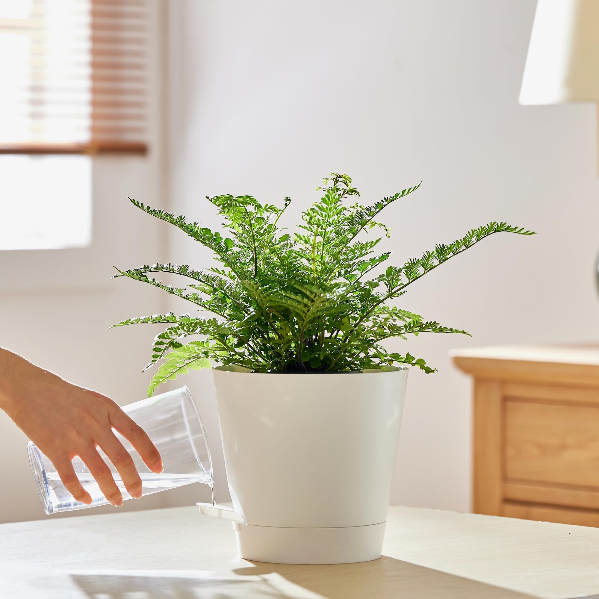FaithLand polypropylene planter is lightweight yet durable for indoor and outdoor use.