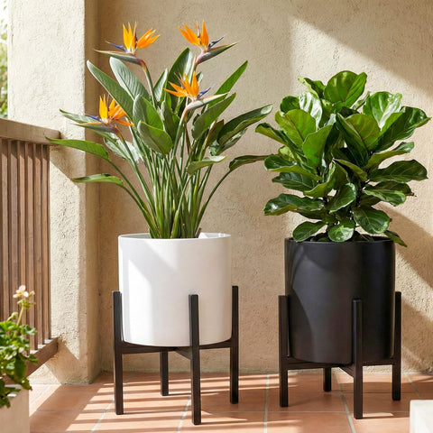 FaithLand plant pot not included; pair with compatible FaithLand pots.