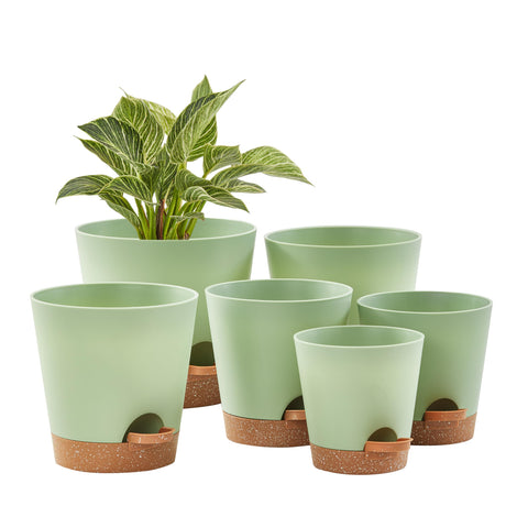 FaithLand self-watering planter 8-inch in green for thriving indoor orchids.