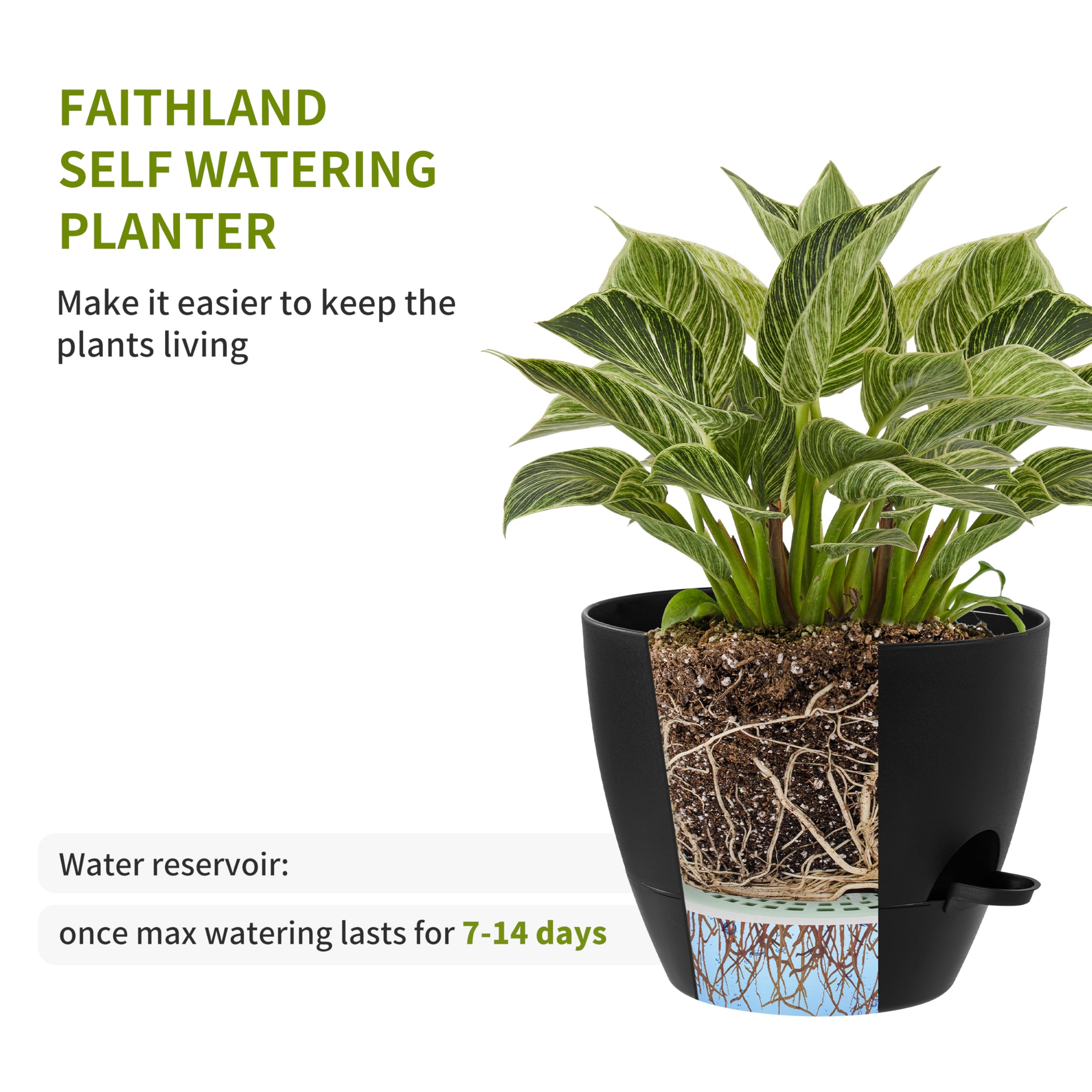 FaithLand large planters on a window sill, elevating decor and greenery.