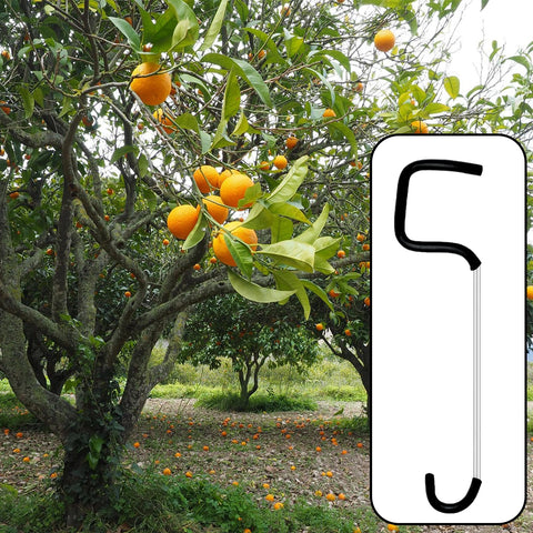 Fallingstar suitable for apple, peach, citrus trees in home gardens