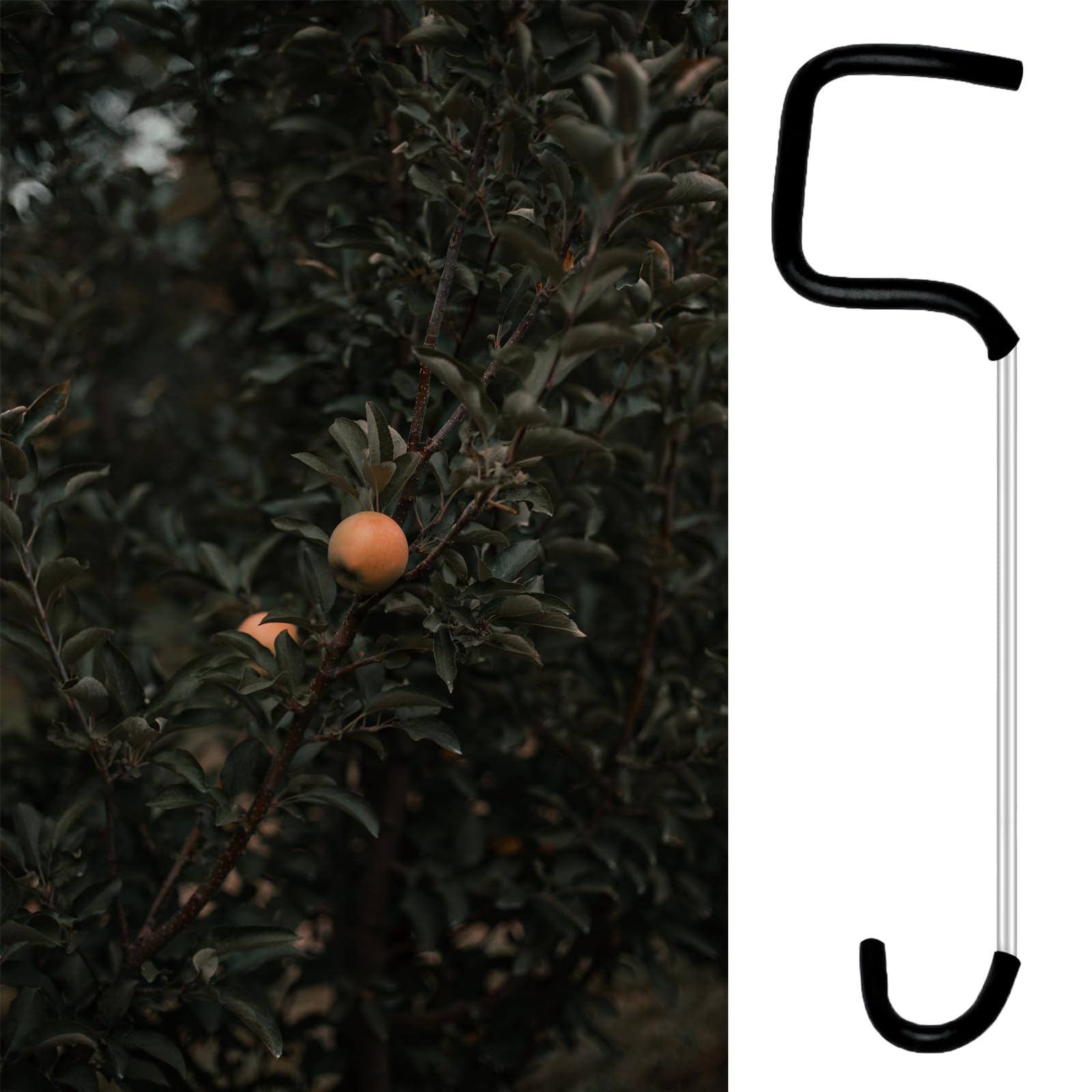 Fallingstar gently trains fruit tree limbs between branches without damage