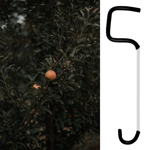 Fallingstar gently trains fruit tree limbs between branches without damage