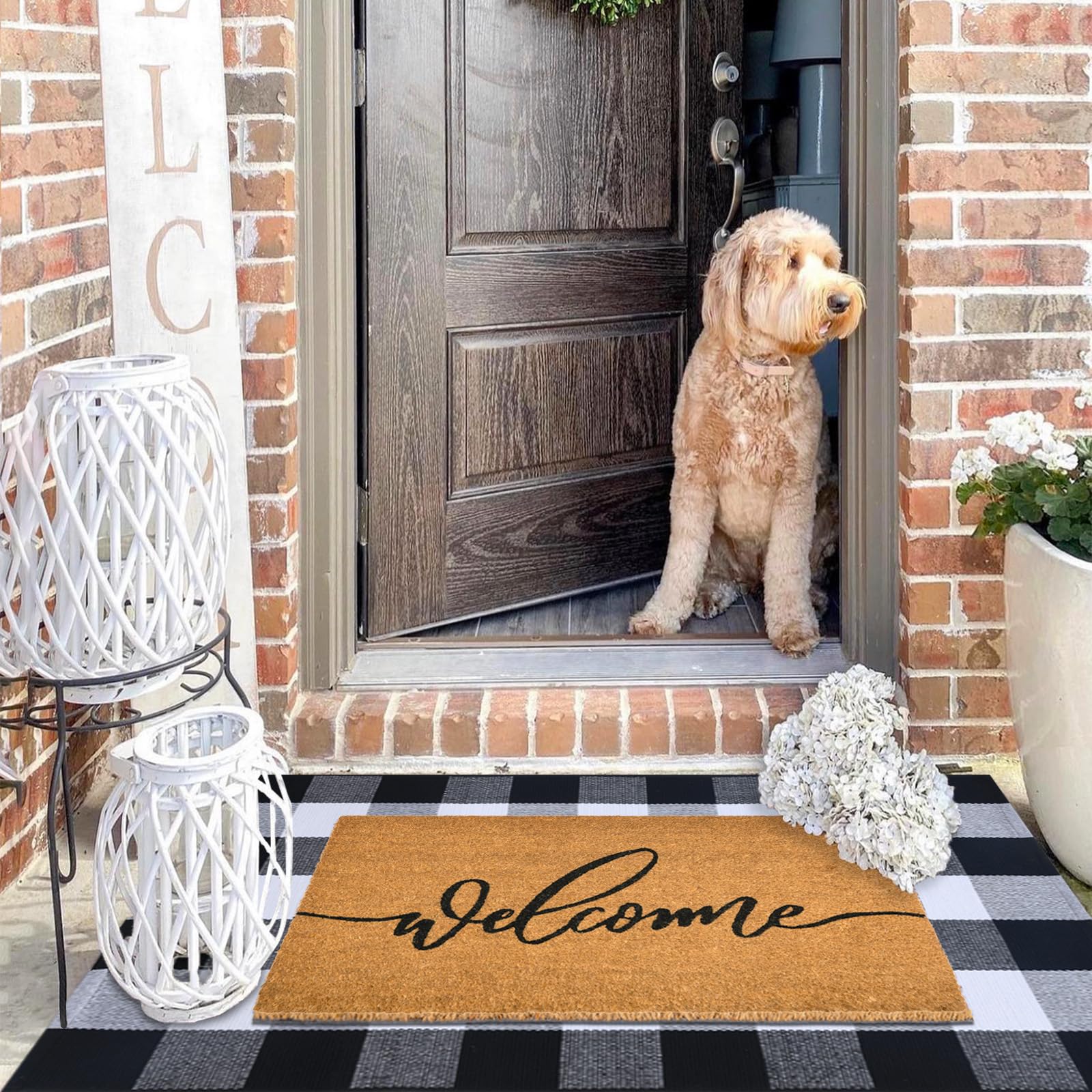 Fallovea black and white plaid rug close-up adds chic entryway.