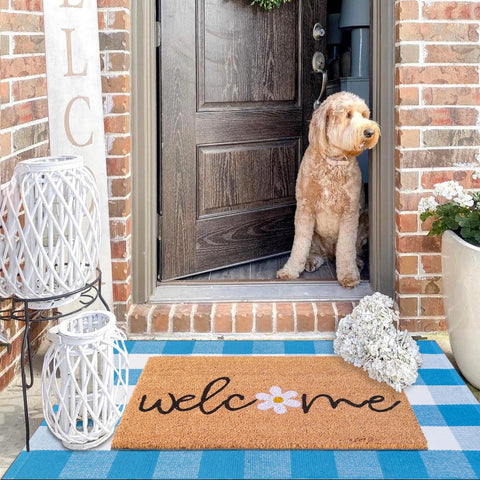 Fallovea green and white plaid pattern rug enhances entryway charm.