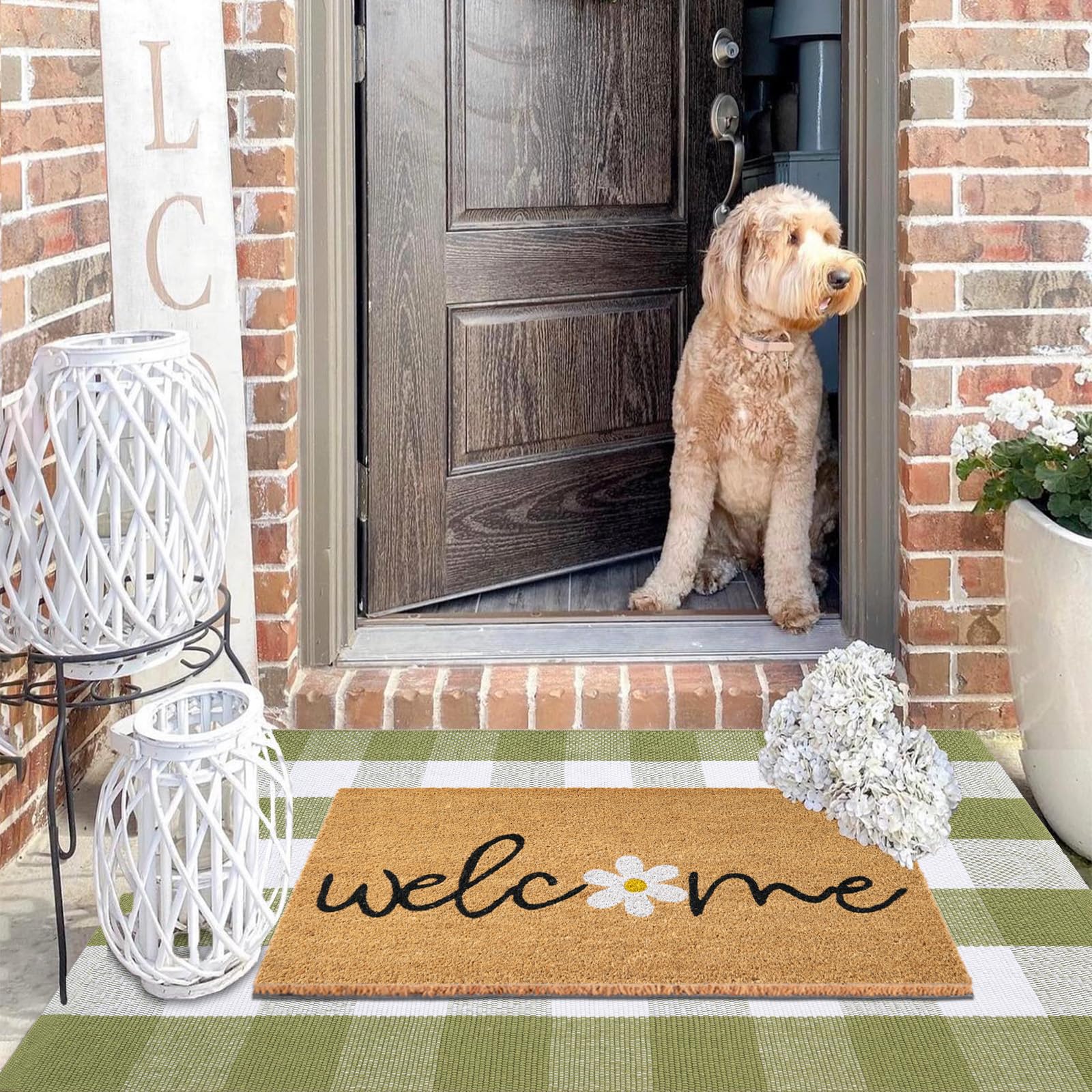 Fallovea green and white plaid rug 3x5 feet brightens entryways.