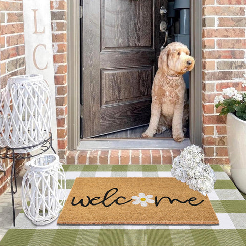 Fallovea green and white plaid rug 3x5 feet brightens entryways.