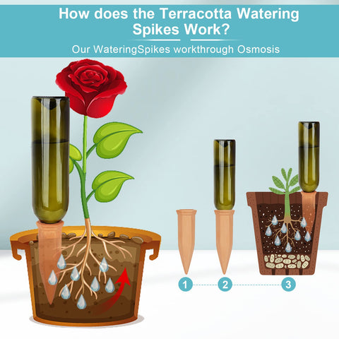 FAMILY burying watering post in pot for easy plant moisture management.
