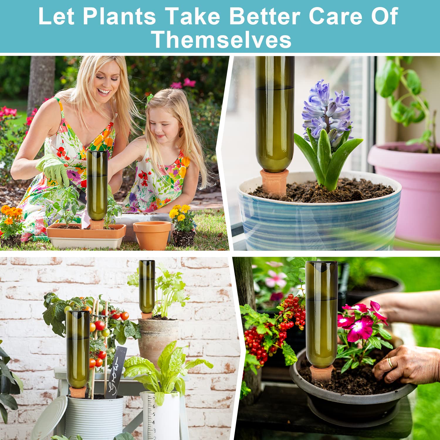 FAMILY self-watering spikes provide reliable drainage and soil moisture balance.