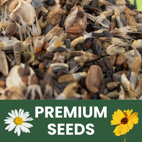 Family Sown 2026 season varieties support dependable stand establishment.