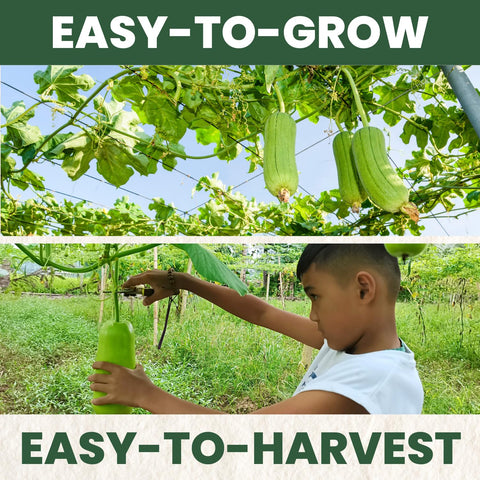 Family Sown 5g moisture pouch protects seeds and extends shelf life.