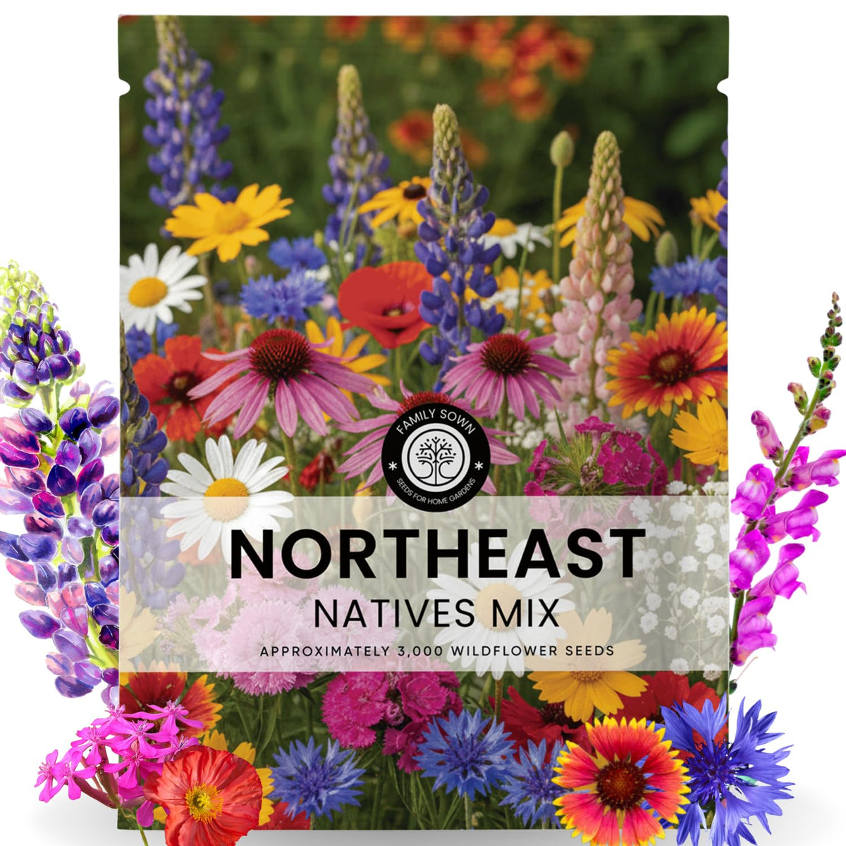 Family Sown 5g pouch seed pack ready for spring planting of native Northeast wildflowers.