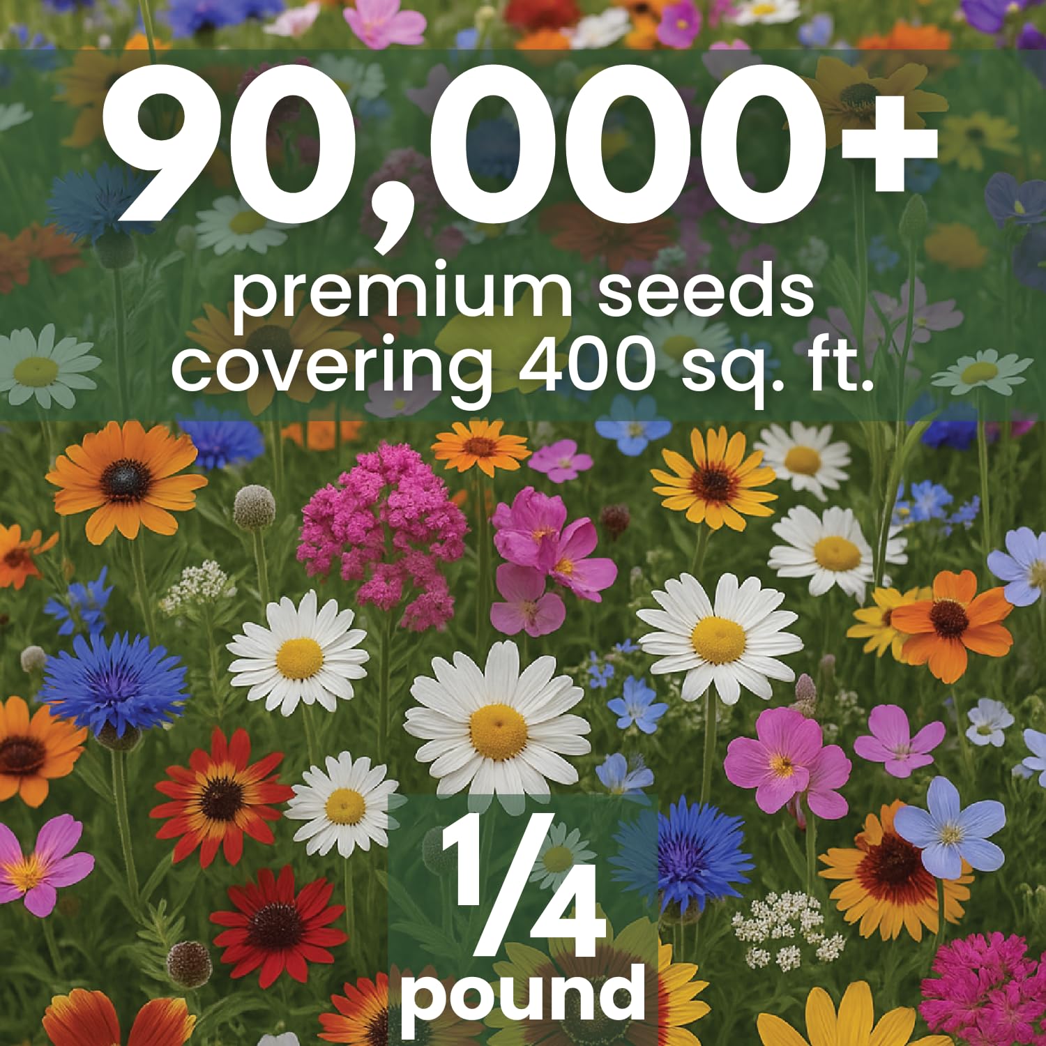 Family Sown 90k seeds bulk pack, ready for large-area sowing.